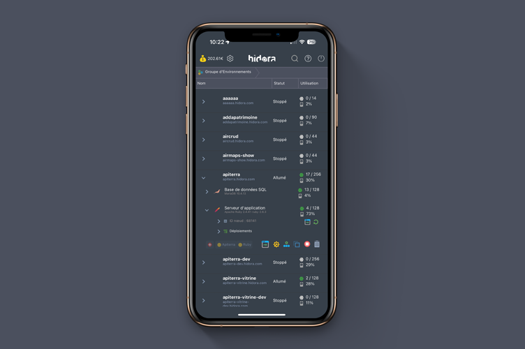 Application mobile Hidora - Affichage d'un environnement