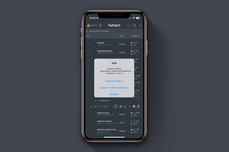 Application mobile Hidora - Informations