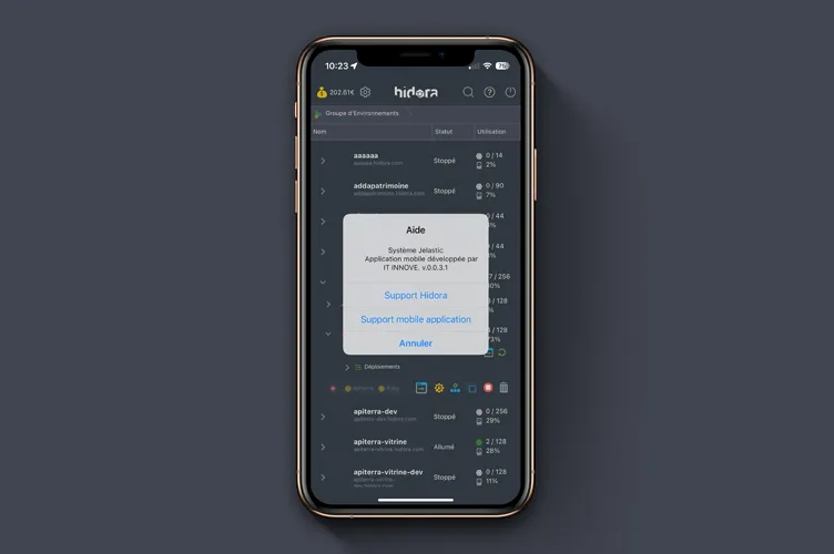 Application mobile Hidora - Informations